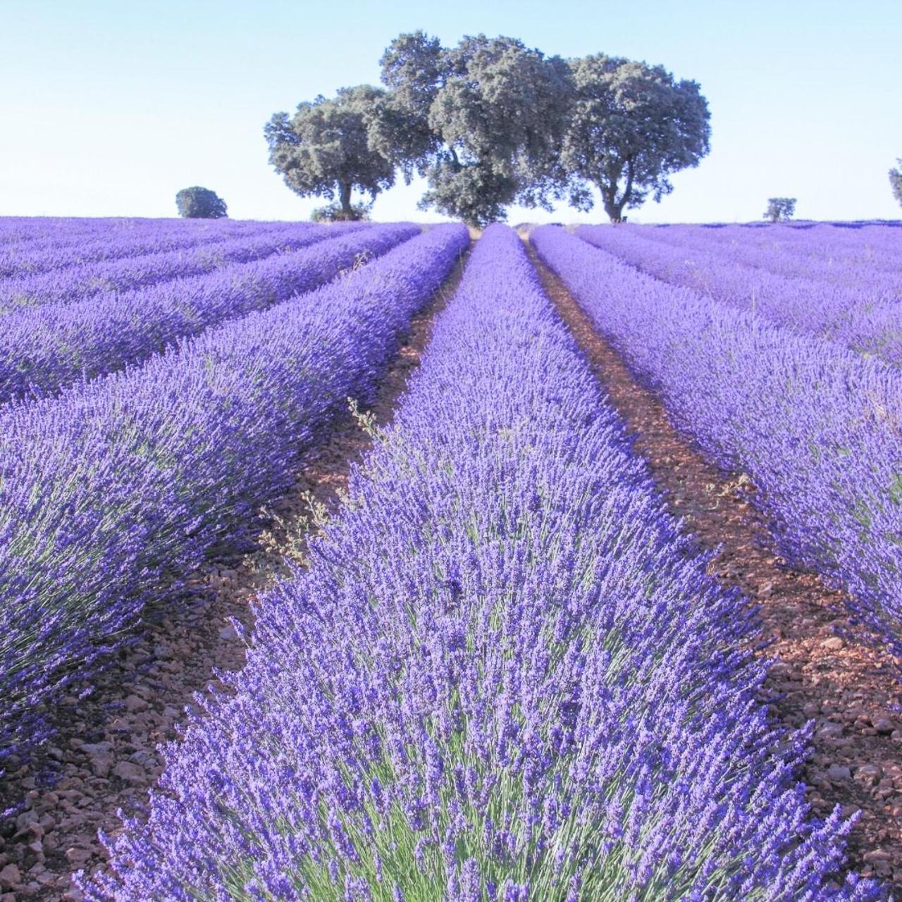 Le Cosy Valcros, Design Et Confort Aix-en-Provence Esterno foto